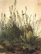 Albrecht Durer The Great Ture oil painting picture wholesale